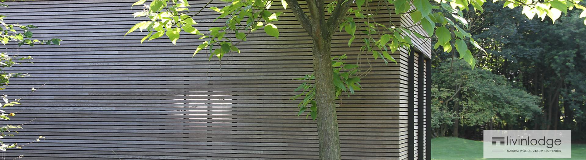 Abris de jardin modernes